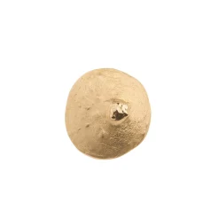 Złoty pin sutek z kolekcji Body